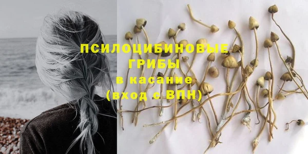 трава Алзамай