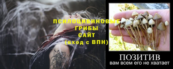 а пвп мука Алексеевка